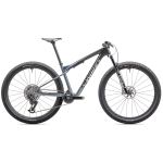 S-Works Epic World Cup kalnų dviratis | Glacial Metallic Granite - Brushed Chrome, XL