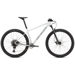 Specialized Chisel Hardtail kalnų dviratis | Gloss Dove Grey - Ashen, XL