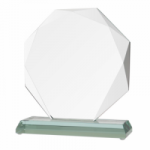 Stiklinis trofėjus G020 170x60x195 mm