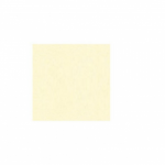 Spalvotas vatmanas 61x86 cm A1 160g. kreminė sp.