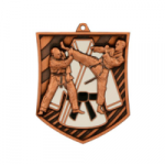 Medalis bronzos KARATE