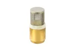Žalvarinis apatinis atbulinis vožtuvas su sieteliu 1&Prime; GEKO G01026A