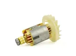 Generatoriaus T05000 rotorius
