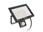 LED floodlight 50W with a motion sensor &ndash; cold white color 6500K