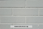 Plytų imitacinė medžiaga (&bdquo;Lankstus klinkeris&ldquo;) ROMA ECRU RE 02  C@