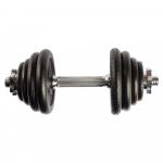 Surenkamas metalinis hantelis Prove 8kg