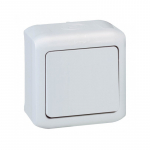 1 klavi&scaron;o vir&scaron;tinkinis mygtukas su lempute Legrand 069722 (pilkas, IP55)