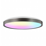 I&scaron;manioji lemputė sufitowa RGB Yeelight Yeelight Jupiter D C600