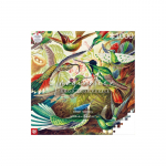 Vaizduotės dėlionė Ernst Haeckel Kolibriai 1000 elementų