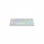 Klaviatūra Savio Wireless Mechanical Phenix White 75% Outemu Red Pro 5901986049289