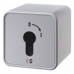 Hager WDE4466 Key Switch Surface-Mounted for Profile Half-Cylinder Die-Cast Zinc IP54