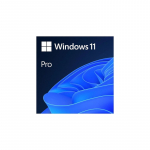 &bdquo;Microsoft Windows 11 Pro 64 bit USB Eng HAV-00163&ldquo;