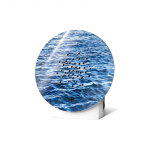 Oceanbox skambanti dėžutė (Bangų vaizdas)