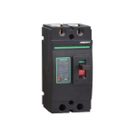 DC jungiklis 2P, 250A, 500VDC