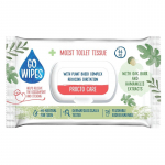 POP WC DRĖG GOWIPES PROCTO CARE 44VNT