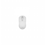 Datorpele Savio MB-04 Silent USB-C / 2.4GHz / BT White 5905106070320 MB-05 (5905106070320)