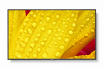 Monitorius Nec 60006083 (43" /tft Ips /60hz /3840 &times; 2160 / Juodas )