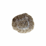 Dubuo, REEF MARINE, &Oslash;23 x h7 cm.