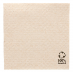 Servetėlės DOUBLE POINT, 20 x 20 cm., rudos, eko, 100 vnt.