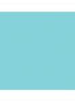 Servetėlė DUNISOFT mint blue 40x40 cm (60 vnt.)