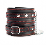 Mini antrankiai kulk&scaron;nims i&scaron; ,,Argus&rdquo;