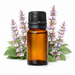 Kvapioji &scaron;alavija, BIO, eterinis aliejus, ekologi&scaron;kas - 10 ml