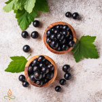 Juodieji serbentai, aromatinis aliejus - 10 ml