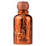 Auraa Desire Rusty Island PP kvepalai vyrams, 100 ml
