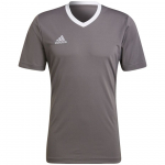 Vyri&scaron;ki Mar&scaron;kinėliai Adidas Entrada 22 Jersey Pilka HE1574