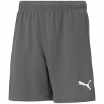 Puma TeamRISE &Scaron;ortai Jr Pilki 704943 13