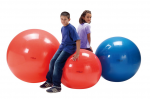 Kamuolys Physio Gymnic 85 cm