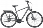 Dviratis 28" Pegasus Strong SL Disc 8g vyr. Pilkas
