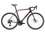 Basso Palta II / SHIMANO GRX 825 DI2 2x12 / Microtech MX25 / Enough / Gravel dviratis (S)