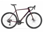 Basso Palta II / SHIMANO GRX 820 2x12 / Microtech MX25 / Enough / Gravel dviratis (XS)
