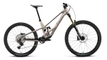 Orbea RALLON E-TEAM 2027 / Nickel (Matt) - Nickel Chrome (Gloss) / kalnų (MTB) dviratis (29"/27.5") (XL)