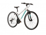 KROSS Evado 1.0 hibridinis dviratis (M)