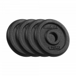 Ketaus svarelių rinkinys 4x1.25kg, skylė 31mm, klasikinė plok&scaron;tė, REBEL ACTIVE