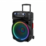 Aktyvus garsiakalbis (su 2 belaidžiais mikrofonais UHF, SD, Bluetooth, FM, USB, LED) 60 vatų