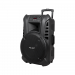 Aktyvus garsiakalbis (su 2 belaidžiais mikrofonais, SD, Bluetooth, USB) 15" 120W