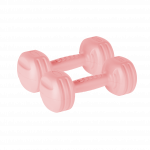 Bituminiai hanteliai 2x1.5kg, REBEL ACTIVE