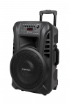 Aktyvus garsiakalbis (su 2 belaidžiais mikrofonais UHF, SD, Bluetooth, FM, USB) 40 W