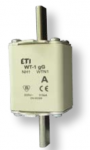 Vėlavimo saugiklio įdėklas ETI WT-1/gG 63A