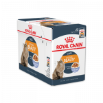 Royal Canin Intense Beauty Jelly drėgnas maistas katėms, 85 g