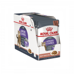 Royal Canin Appetite Control Gravy drėgnas maistas katėms, 85 g