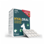 Pharmadiet Hyaloral Giant papildai &scaron;unims gerinantys sąnarių funkcijas, 120 tablečių