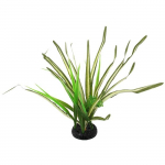 Terariumo dekoras: &bdquo;Repti Planet Spartina&ldquo; žolė, 30 cm