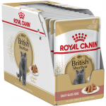 Royal Canin British Shorthair drėgnas maistas Britų trumpaplaukėms katėms, 85 g