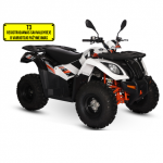 Keturratis KAYO AU300 EFI