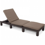 Paplūdimio gultas Daytona Deluxe 195x65x25,5 cm 29211632599 KETTER