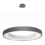 Pakabinamas LED &scaron;viestuvas Sovana 80 Pilkas
